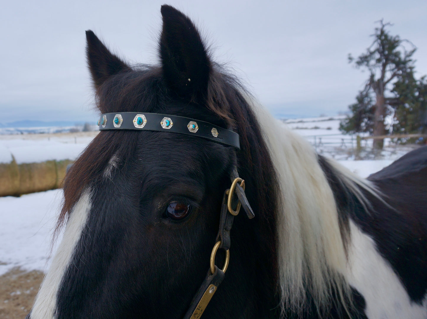 Browband