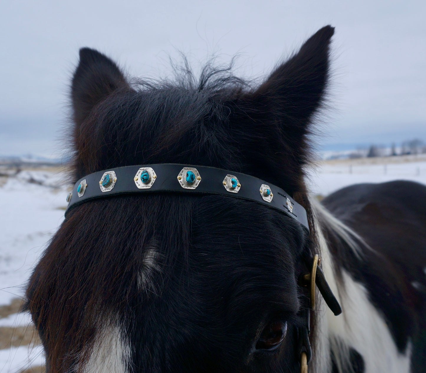 Browband