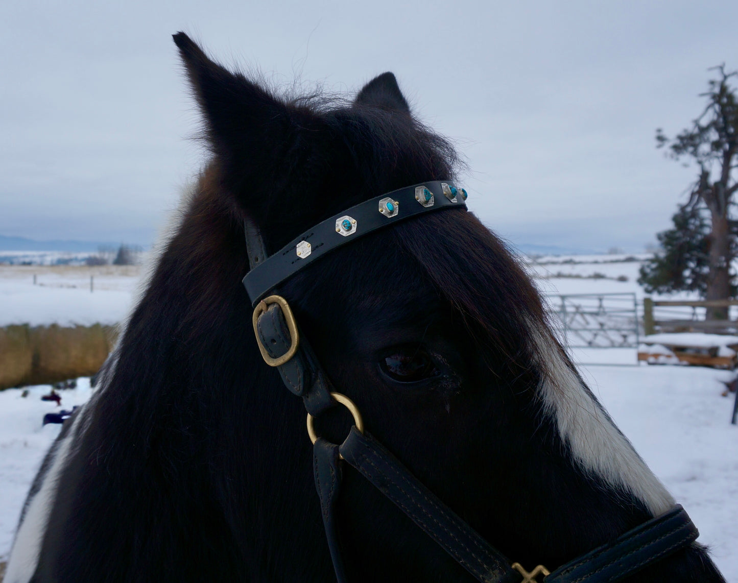 Browband