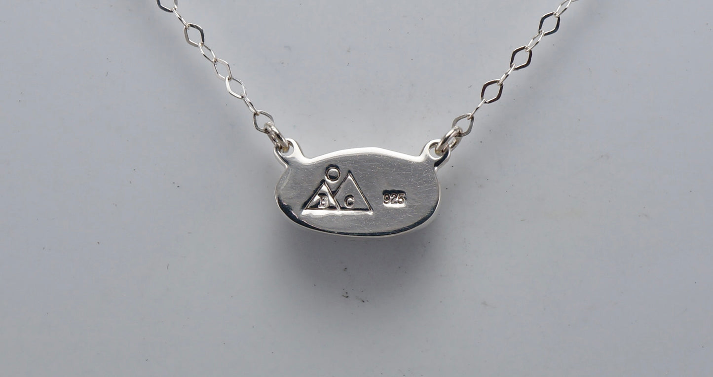Montana Agate Necklace set in Sterling Silver