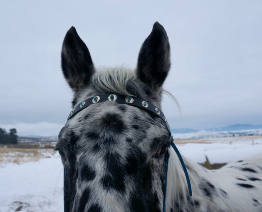 Browband